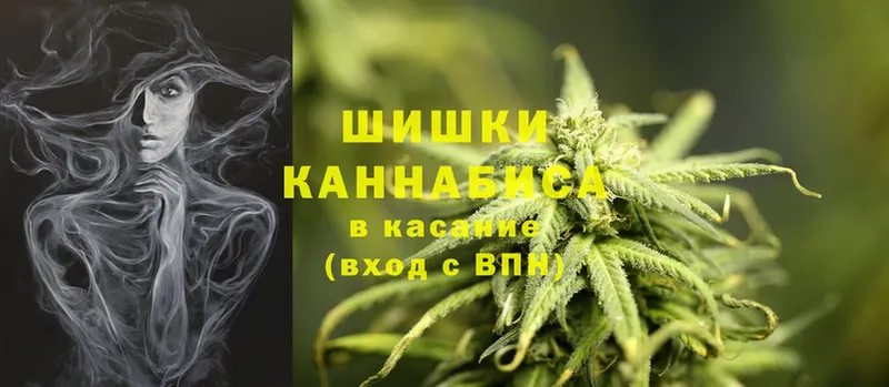 МЕГА ссылки  купить   Тара  Шишки марихуана THC 21% 